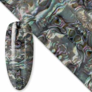 Folia transferowa nr 22 