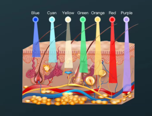 Screenshot 2024-08-12 at 11-25-22 7 Color Light Therapy Mask Facial Pdt Therapy Machine Ems Alligatorclip Skin Tightening Device Led Mask Anti Redness - Buy Led Face Light Therapy led Facial Light Therapy pdt Led Light Therapy[...].png